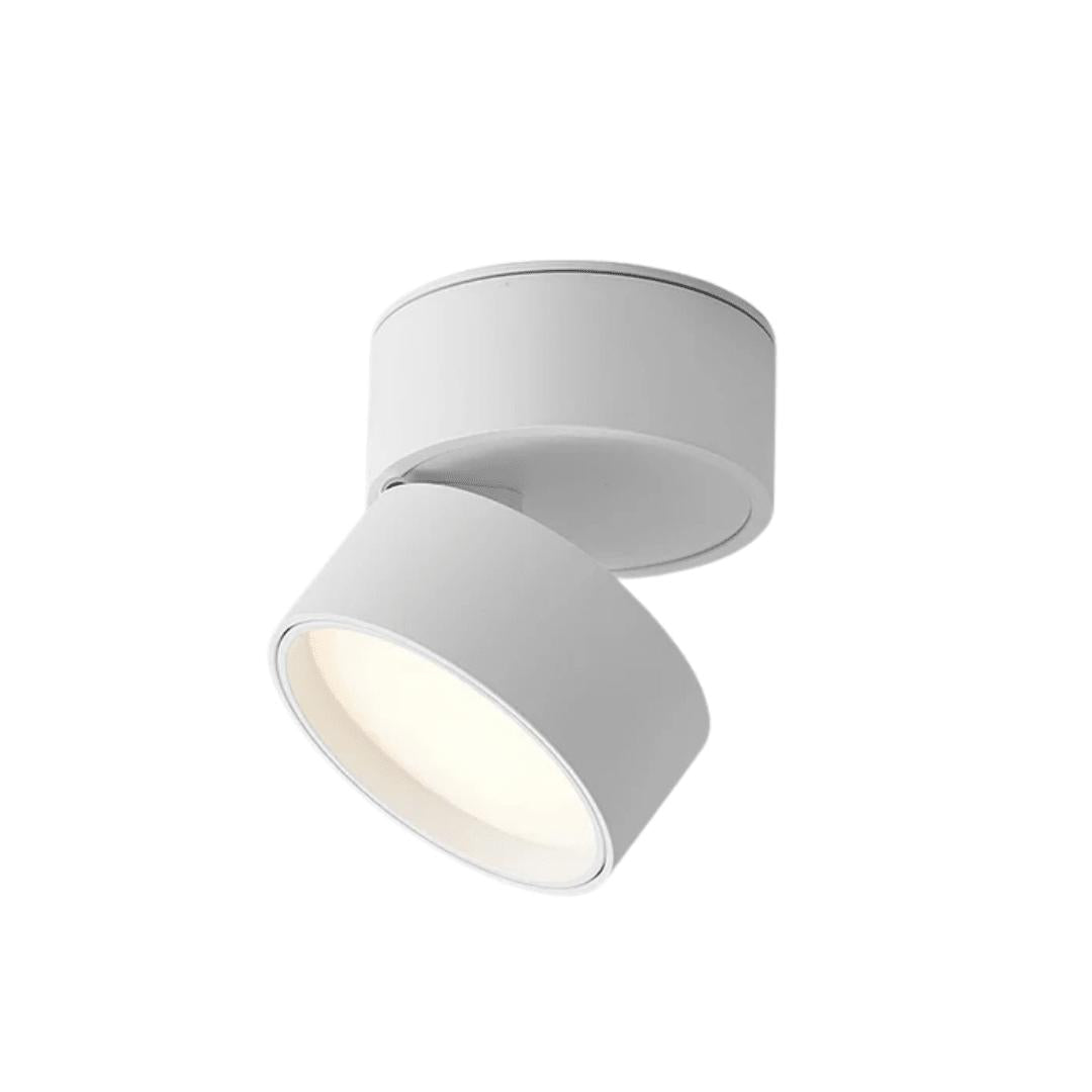Ravendo - Justerbar LED Plafondlampe